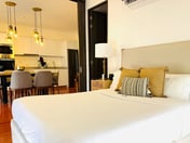 Deluxe Apartment in Chapultepec 67