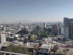 Modern Apartment in Chapultepec - 401 - Image 4